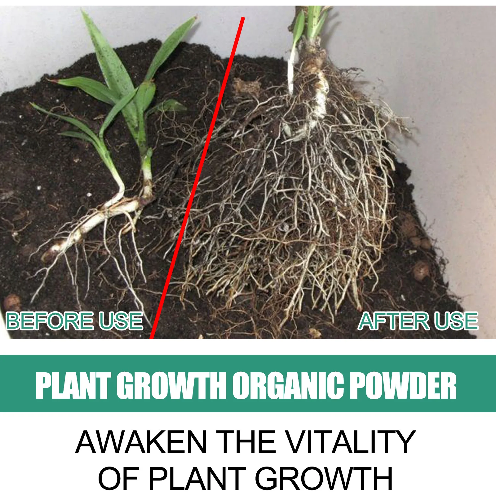 Fast Rooting Powder Plant Soil - Rooting Hormone Powder 评论和价格